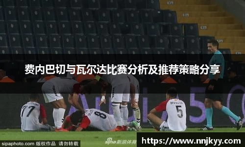 费内巴切与瓦尔达比赛分析及推荐策略分享